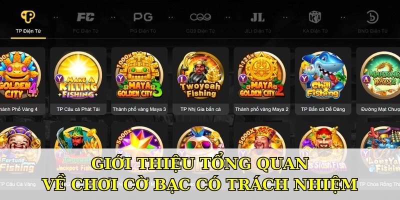 Giới thiệu tổng quan về chơi cờ bạc có trách nhiệm