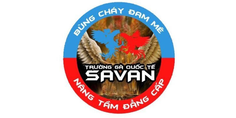 Trường gà Savan